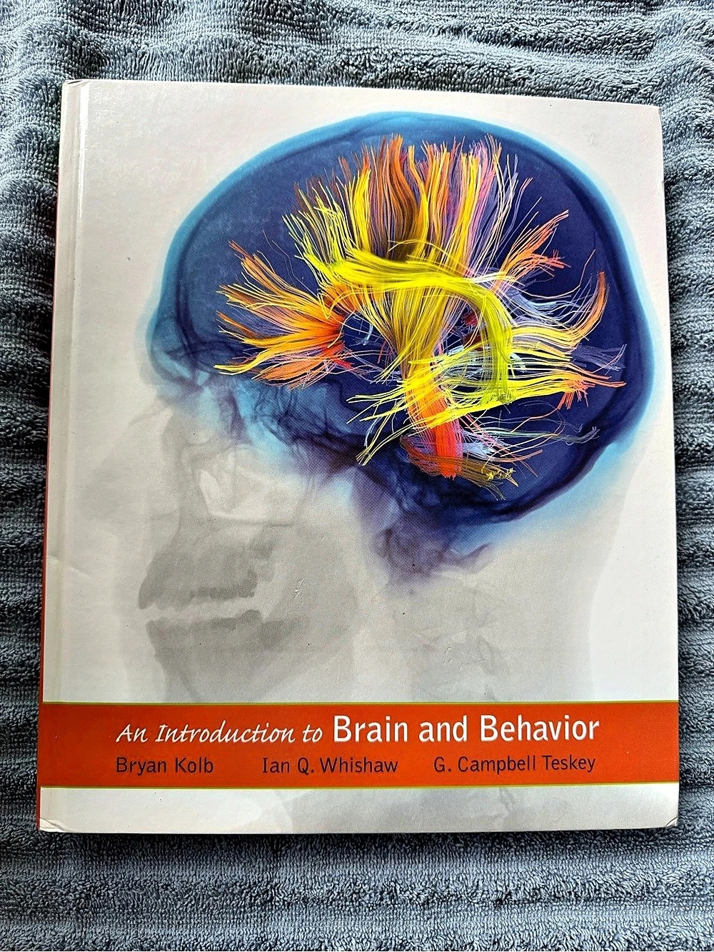 Worth Publishers An Introduction to Brain and Behavior (5th Edition) Textbook